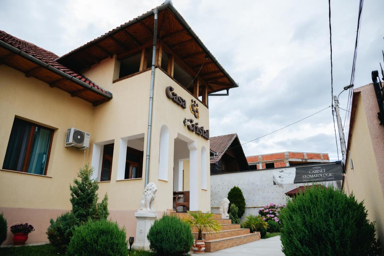 Pensiunea Casa Cristal Zsilvásárhely Kültér fotó